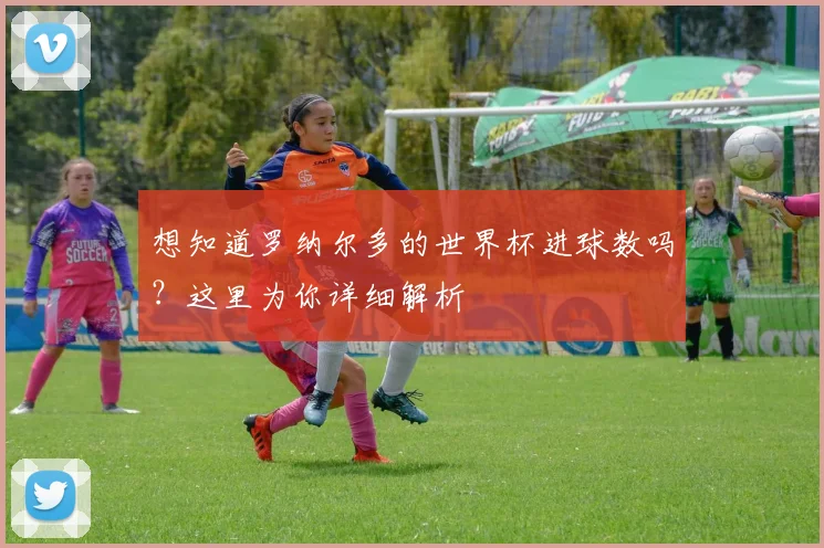 想知道罗纳尔多的世界杯进球数吗？这里为你详细解析