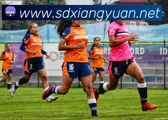 互动解说服务
